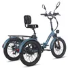 FAFREES F20 Mate E-Lastenrad - Akku 48V23.45AH Produktbild-Vorschau 5