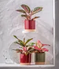 Dehner Übertopf Eno, runder Indoor Blumentopf, Ø außen 16.5 Produktbild-Vorschau 4