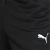 Puma Spodnie Teamrise Poly Training, 65739003, Rozmiar: 170 Podgląd zdjęcia produktu 9
