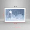 Gerahmtes Poster - Weißer Rahmen - Weiß Wolf Schnee - Produktbild-Vorschau 5