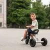 Lorelli FIRST Kinder-Dreirad 3–5 Jahre bis 20 kg – Produktbild-Vorschau 26