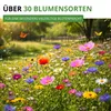 Bienenweide Blumenmischung - 100 g Samen für Bienenwiese - Produktbild-Vorschau 5