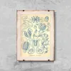 Poster - Canvas - Leinwand - 59,4 cm x 84,1 cm - Fotoposter Produktbild-Vorschau 2