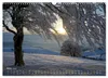 Faszination Schwarzwald (Wandkalender 2027 DIN A3 quer), Produktbild-Vorschau 6