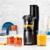 NutriBullet Nutribullet Slow Juicer NBJ500 (grey/black, 150 Voir les images du produit 2
