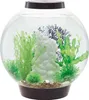 Aquarium biOrb CLASSIC 30 LED noir Voir les images du produit 5
