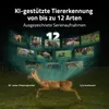 A deer running in a grassy field with multiple images of different animals displayed in a semi-circular pattern above it. Produktbild-Vorschau