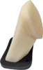 Luftfilter Für Yamaha Xt 125 R/X '05-12 (Oem:3D6E44510000) Produktbild-Vorschau 11