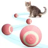 Interaktives Katzenspielzeug Ball Elektrisch für Katzen -  Produktbild-Vorschau 1