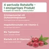 AniForte 4in1 Complete Dog Pulver 250g - Natürliche Produktbild-Vorschau 4