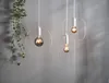 Three modern pendant lights with Edison-style bulbs hang against a gray wall, with a trailing vine on the left. Podgląd zdjęcia produktu