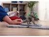 Schleich schleich® ELDRADOR® CREATURES 70828 Produktbild-Vorschau 3