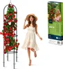 Pergola ogrodowa kolumna 200 cm Plonos PL-992 Podgląd zdjęcia produktu 1