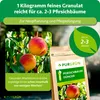Purgrün -Pfirsichbaum-Dünger 1 kg, Produktbild-Vorschau 4