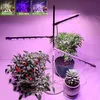 Pflanzenlampe LED Vollspektrum Höhenverstellbare Produktbild-Vorschau 1