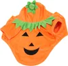 Halloween Kürbishund Kleidung süß warmes Kostüm für Produktbild-Vorschau 3