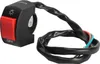 Przełącznik włączania/wyłączania reflektora LED z czerwonym Podgląd zdjęcia produktu 1