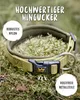 A dog collar is placed on moss and forest floor. Produktbild-Vorschau