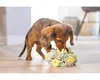 Beeztees Welpe Izzy Schnüffelball - Hundespielzeug - Produktbild-Vorschau 8