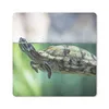 MuchoWow® Mauspad Mousepad Nahaufnahme einer Schildkröte Produktbild-Vorschau 1