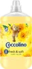 A bottle of Coccolino fabric softener with a teddy bear and sunflowers on the label. Produktbild-Vorschau