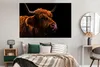 MuchoWow® Poster Schottischer Highlander - Zunge - Nase Produktbild-Vorschau 4