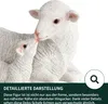 Dekoschafe Gartenfiguren - Lämmer und Schaf Deko für Produktbild-Vorschau 4