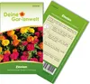Zinnien Dahlienblütige Riesen, Mischung Samen - Zinnia Produktbild-Vorschau 1