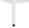 Lendo Online Ladekast Metaal 80x40x100 cm Wit Productafbeelding-voorbeeld 9