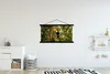 MuchoWow® Textilposter Vogel - Tukan - Dschungel - Natur - Produktbild-Vorschau 2