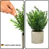 Belle Vous 4er Pack Kunstpflanzen im Topf für den Produktbild-Vorschau 3
