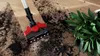 Bosch BCS711PET, Stabstaubsauger, Beutellos, Schwarz, Rot, Produktbild-Vorschau 8