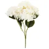 Hortensia Dense Beau Bouquet D'hortensias Fleurs Voir les images du produit 12