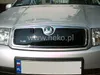 Grille de radiateur d'hiver Skoda Fabia I. 2000-2007 Voir les images du produit 1