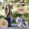 A woman is training a dog outdoors with a whistle. Produktbild-Vorschau