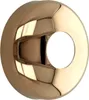 A close-up, studio shot of a gold-colored escutcheon plate. Produktbild-Vorschau