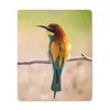 MuchoWow® Mauspad Mousepad Vögel - Bienenfresser - Tiere Produktbild-Vorschau 1