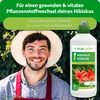 Purgrün nawóz do hibiskusa 1 litr Podgląd zdjęcia produktu 2