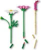 LEGO Botanicals Krásenky, Sada na stavění, 9 rok/roky, Náhled obrázku produktu 15