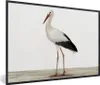 MuchoWow® Gerahmtes Poster Storch - Vogel - Tiere - Jungen Produktbild-Vorschau 1