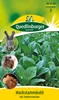 Markstammkohl (Futterkohl) Produktbild-Vorschau 5