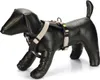 Beeztees Parinca Premium Y-Tuig - Hundegeschirr - Nylon - Produktbild-Vorschau 2