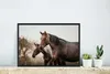 MuchoWow® MuchoWow® Gerahmtes Poster Pferde - Natur - Braun Produktbild-Vorschau 5