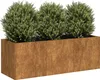 vidaXL Sadzarka Rusty 120x40x40 cm Stal odporna na warunki Podgląd zdjęcia produktu 7