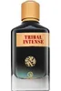 Grandeur Tribal Intense parfumovaná voda pre mužov 100 ml Náhľad obrázku produktu 2