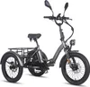 FAFREES F20 Mate E-Lastenrad - Akku 48V21AH 20-Zoll-Rädern Produktbild-Vorschau 2
