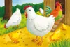 Mein Bauernhof Ravensburger 07463 Produktbild-Vorschau 2