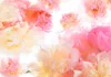 Selbstklebende Folie Fototapete - Pastel peonies 196x140 cm Produktbild-Vorschau 6