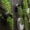 Hanging planters with green plants on a dark wooden wall. Produktbild-Vorschau
