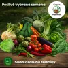 Green Harvest Sada semen zeleniny 20 druhů, 20 sáčků, Náhled obrázku produktu 7
